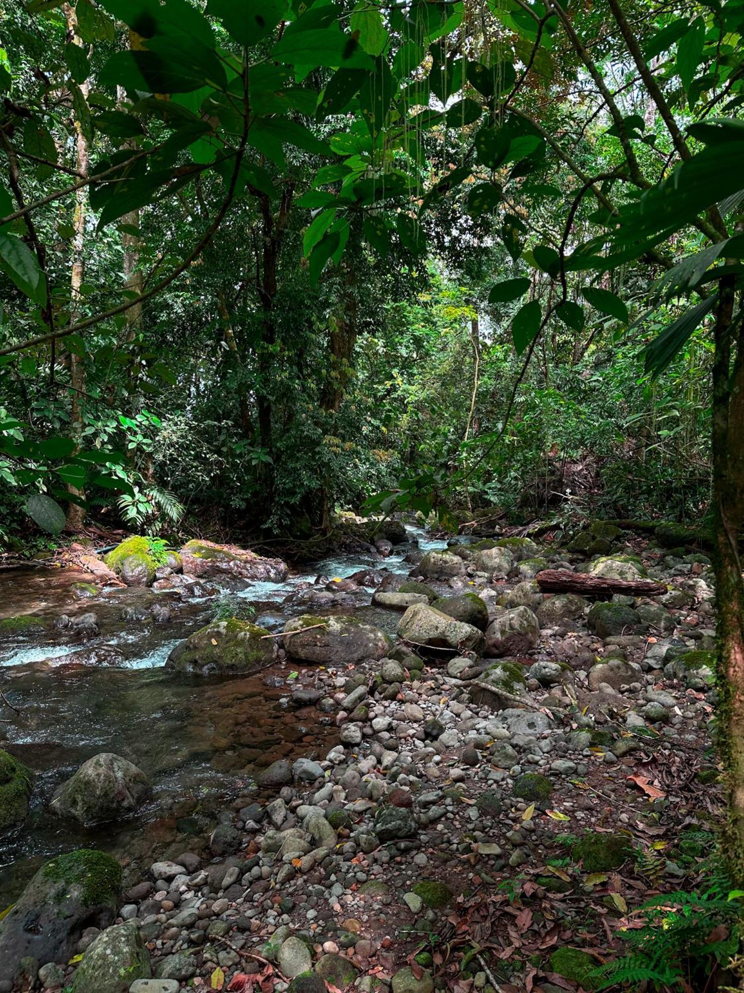 Cabanas Rio Escondido En La Fortuna Bagian luar foto