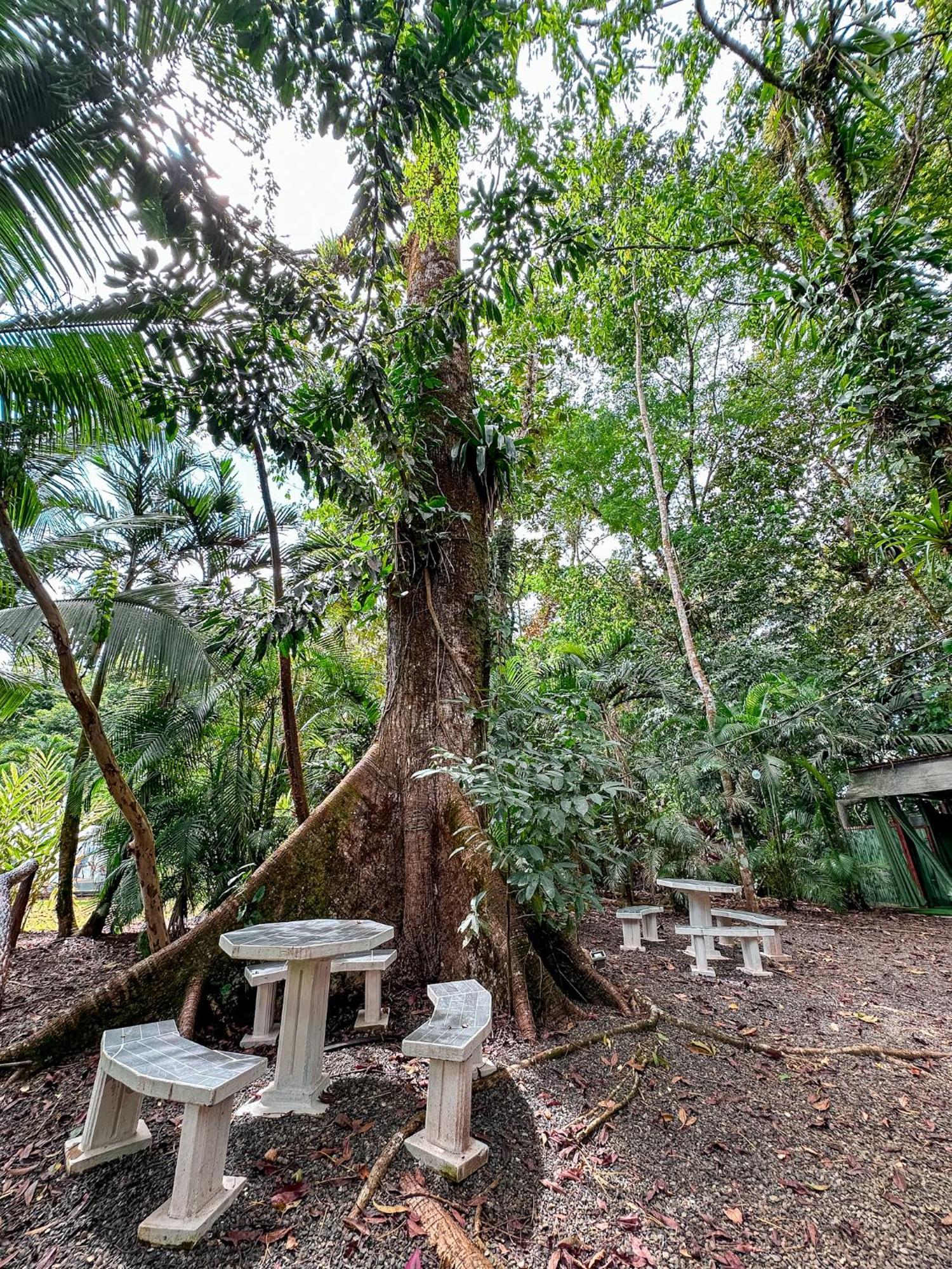 Cabanas Rio Escondido En La Fortuna Bagian luar foto