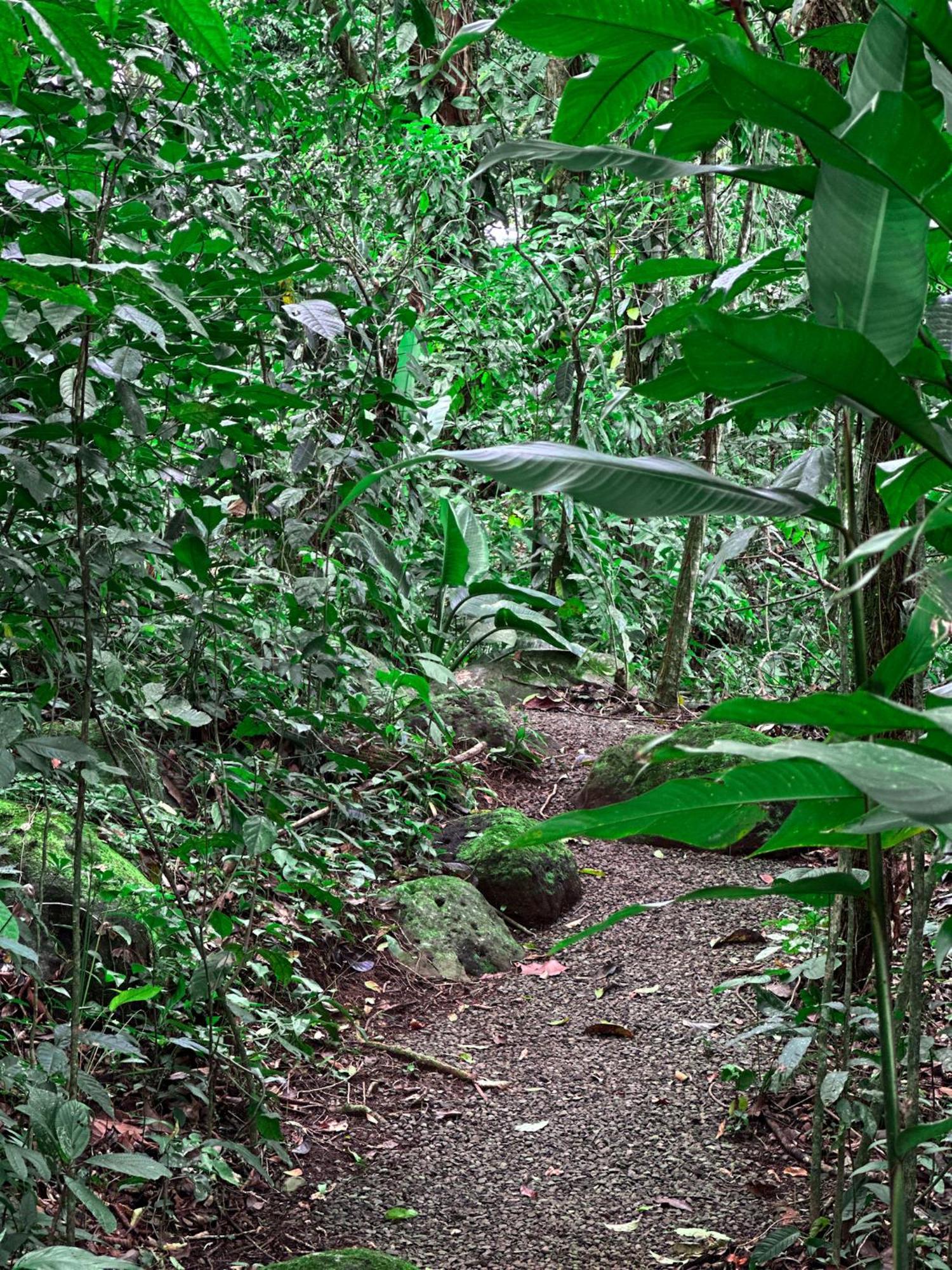 Cabanas Rio Escondido En La Fortuna Bagian luar foto