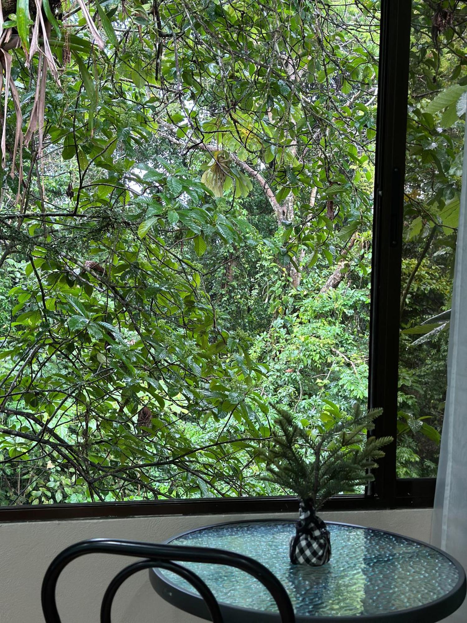 Cabanas Rio Escondido En La Fortuna Bagian luar foto